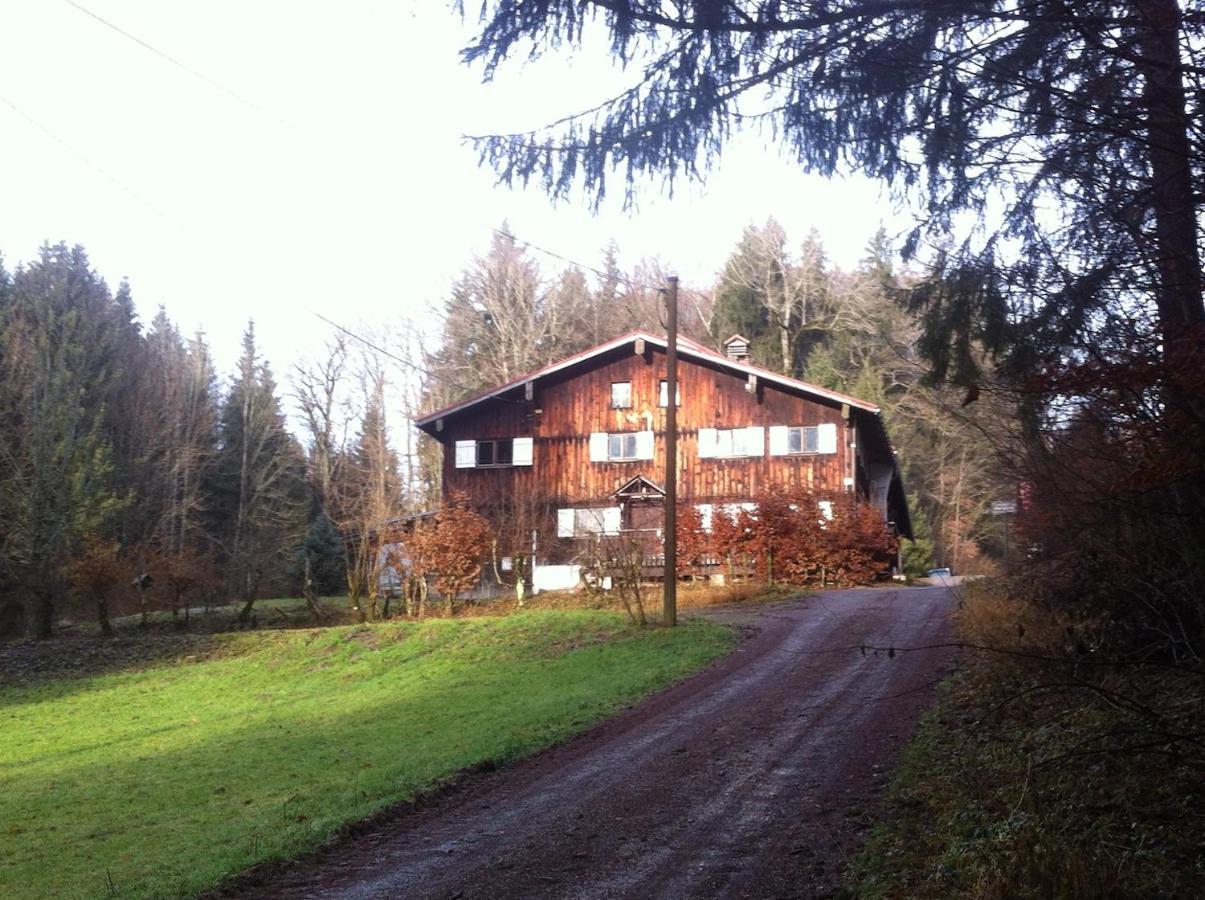 Wald-Ferienhaus-Seefried Immenstadt im Allgäu Eksteriør billede