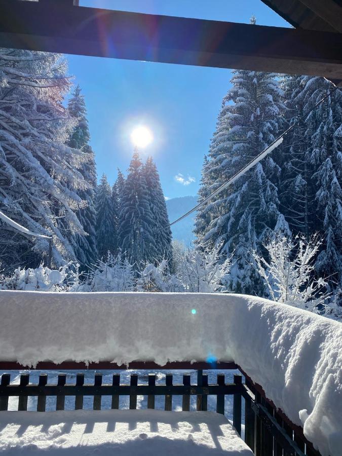 Wald-Ferienhaus-Seefried Immenstadt im Allgäu Eksteriør billede